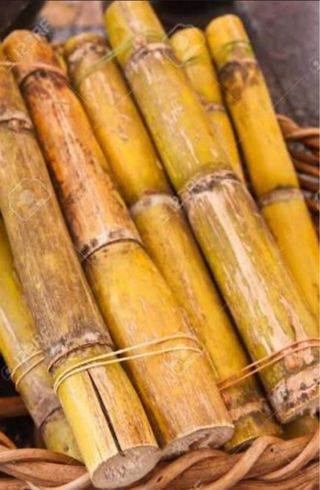 Cañas dulece ecologuicas