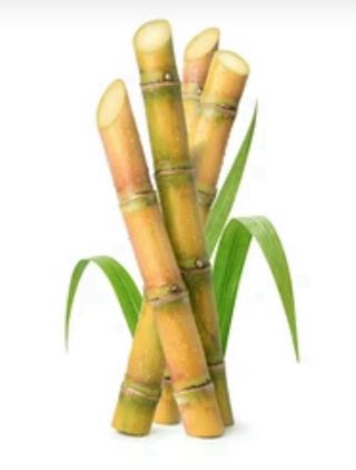 Cañas dulece ecologuicas