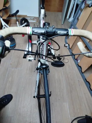 Bicicleta Carretera Moser + Rodillo Elite