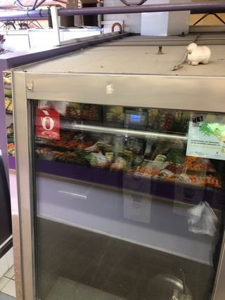 Ultimos dias Cámara