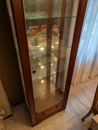 Vitrina. Luz, madera buena y cristal