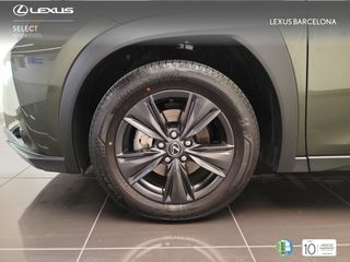 Lexus UX300h UX PLUS 2025 REF 5817