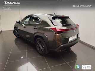 Lexus UX300h UX PLUS 2025 REF 5817