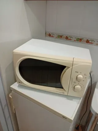 Microondas blanco