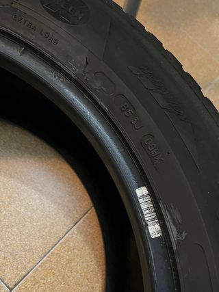 Neumáticos Michelin Latitude Alpin 235/55R18