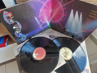 Pink Floyd Delicate Sound of Thunder Vinilo
