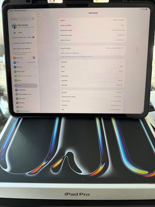 iPad Pro 13 M5 256GB WiFi+Cellular.