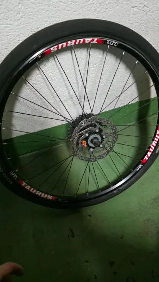 Rueda + Rodillo para bicicleta