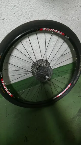 Rueda + Rodillo para bicicleta