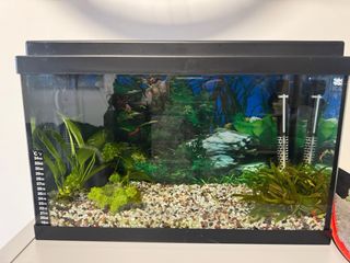 Acuario 40L Negro y Transparente