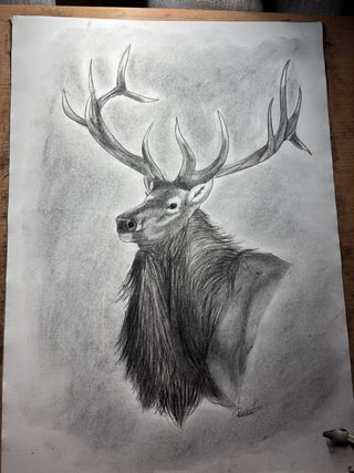 Retratos a mano personalizados