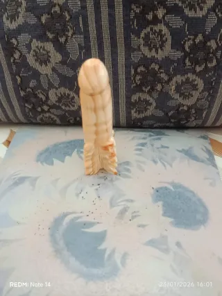 Genitale maschile 9.5 cm