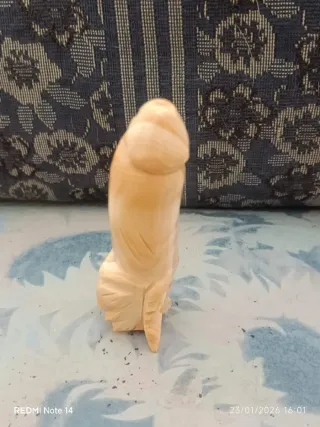 Genitale maschile 9.5 cm