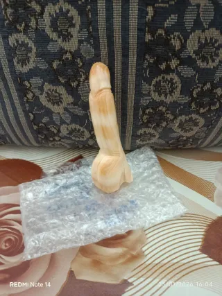 Conchiglia sardonica incisa