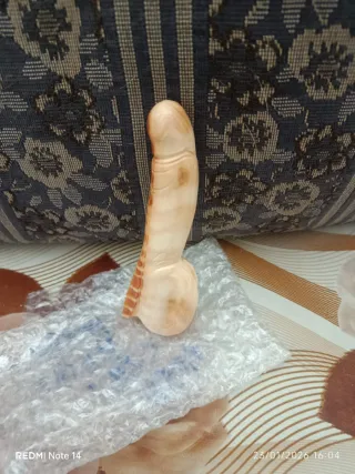 Conchiglia sardonica incisa