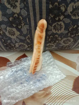 Conchiglia sardonica incisa