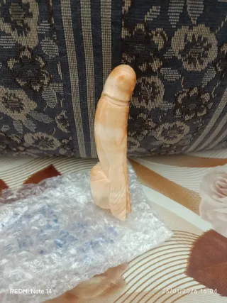 Conchiglia sardonica incisa