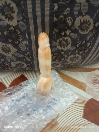 Conchiglia sardonica incisa