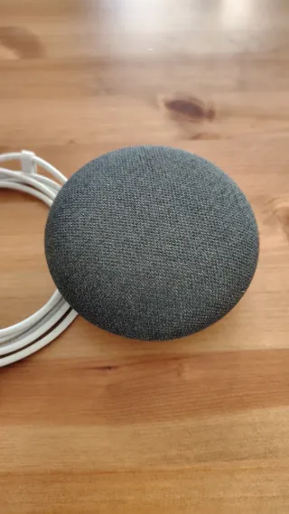 Google Home Mini 1ª Gen Grigio