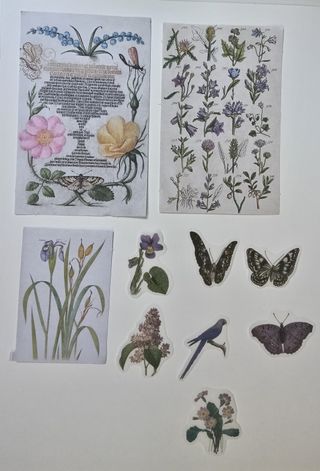 Pegatinas Vintage Flores y Frutas 10uds