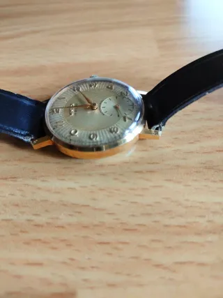 Orologio Wintex 17 rubins