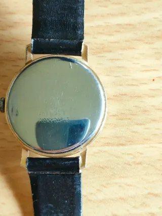 Orologio Wintex 17 rubins