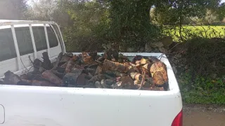 Venta de leña de pino astillada para chimenea