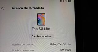 Samsung Galaxy Tab S6 Lite 2024