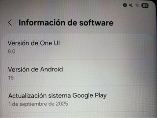 Samsung Galaxy Tab S6 Lite 2024