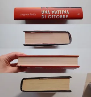 Una mattina di ottobre di Virginia Baily