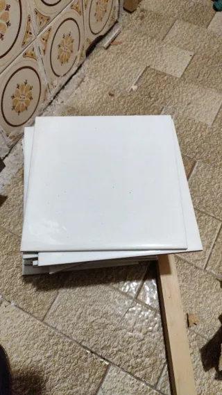 Azulejos blancos 22x22 cm