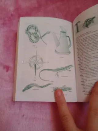 Diccionari escolar senzill valencià-castellà