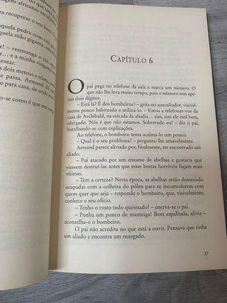 Artur e a vingança de Maltazard