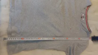 Polo Tommy  Gris de manga larga.