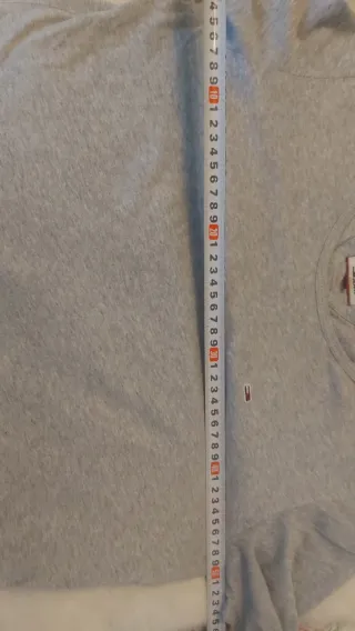 Polo Tommy  Gris de manga larga.