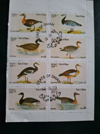 Sellos Estado de Omán 1973 Patos