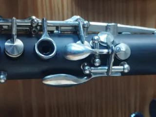 Clarinete J.Michael Sib