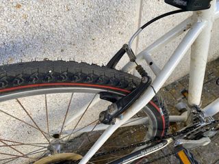 Bicicleta de montaña Raider