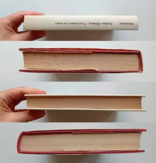 Venti lettere a un amico di Svetlana Alliluieva