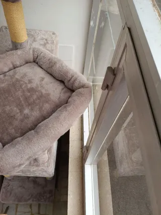 Árbol rascador para gatos