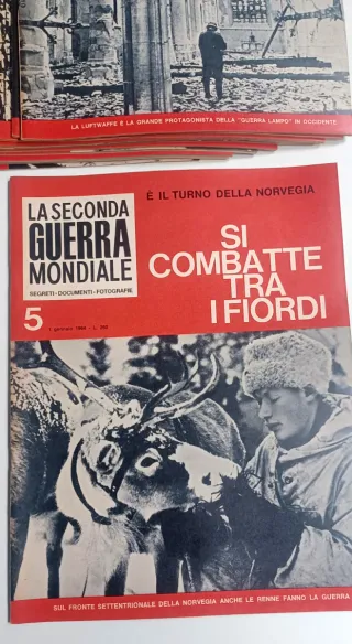 Riviste collezione Seconda Guerra Mondiale n. 1-16