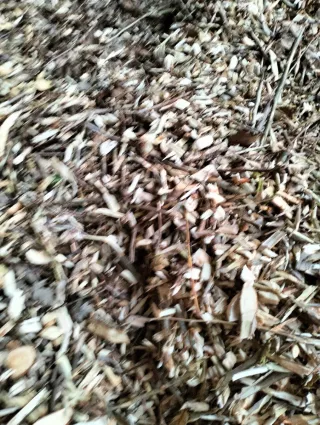 Cippato per pacciamatura