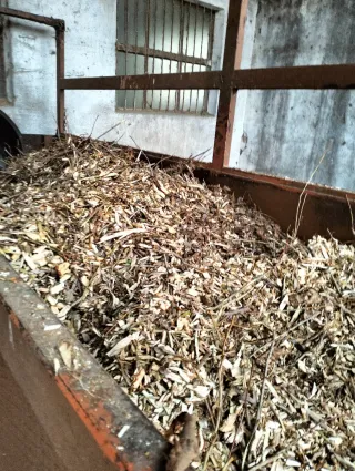 Cippato per pacciamatura