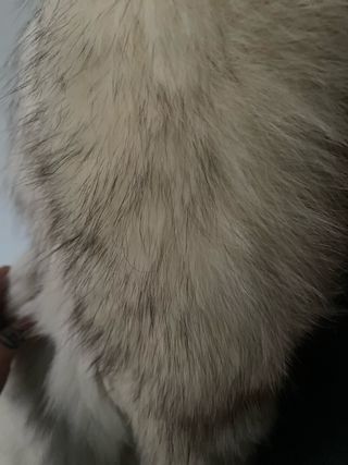 Abrigo de piel de zorro ártico natural