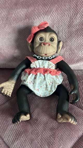 Mono de “reborn”