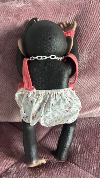 Mono de “reborn”