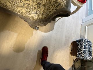 Sofá antiguo con cisnes en relieve