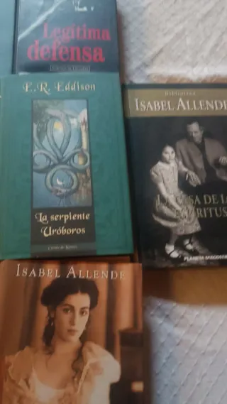 Lote de libros variados