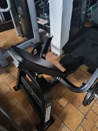 Máquina Hip Thrust Gimnasio