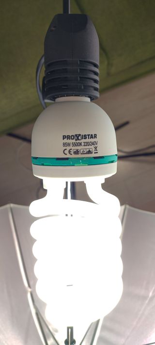 Kit 2 Focos de fotografía + Paraguas + Pies